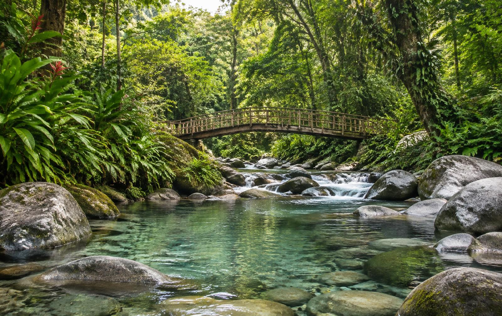 Clear rainforest river and a wooden footbridge beneath the Costa Rica jungle canopy