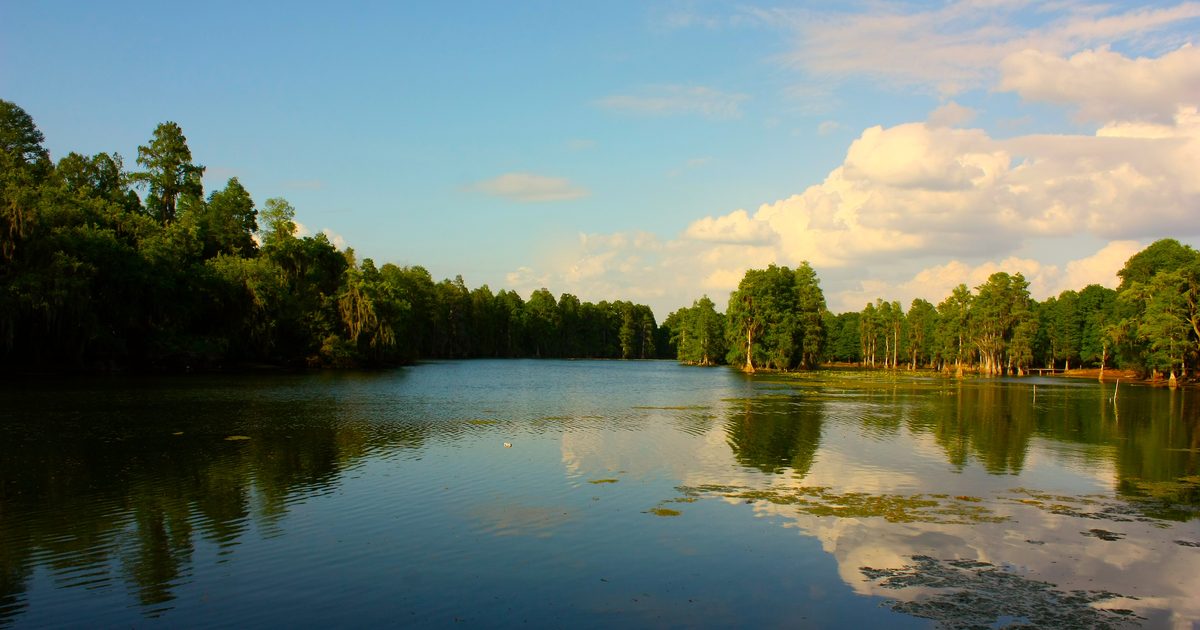 A still lake lined with trees under a bright sky